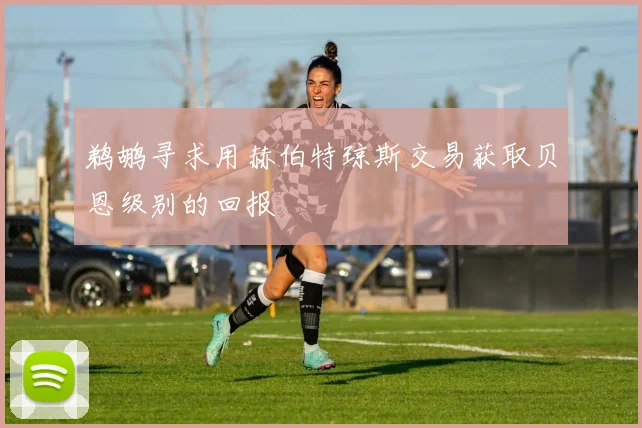 鹈鹕寻求用赫伯特琼斯交易获取贝恩级别的回报