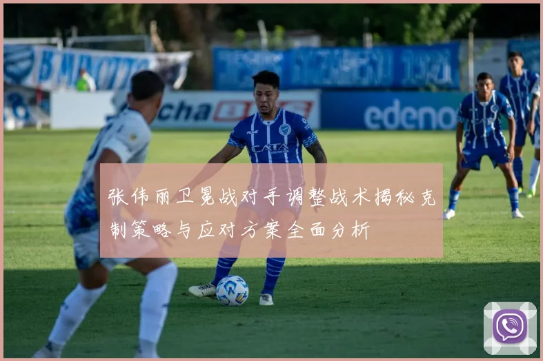 张伟丽卫冕战对手调整战术揭秘克制策略与应对方案全面分析